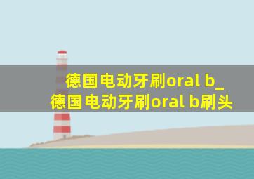 德国电动牙刷oral b_德国电动牙刷oral b刷头